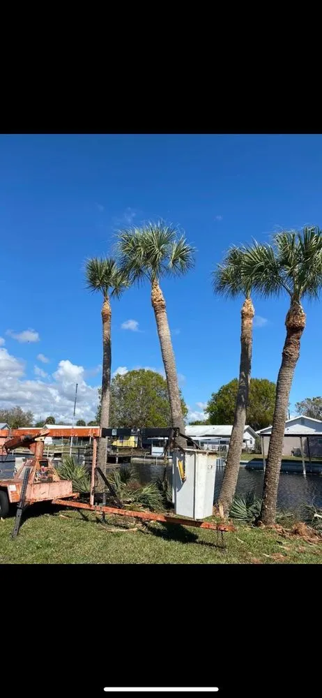 Professional lawn care service for beautiful yards in Okeechobee, FL by Down South Maintenance