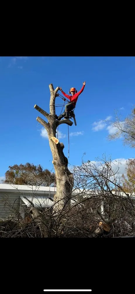 Custom lawn mowing service in Okeechobee, FL - Down South Maintenance