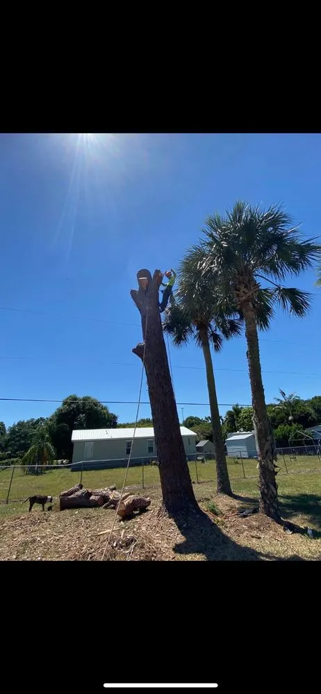 Affordable landscaping services experts serving Okeechobee, FL - Down South Maintenance