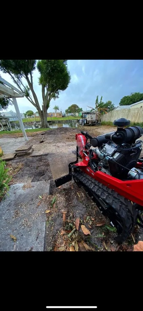 Affordable yard cleanup service in Okeechobee, FL by Down South Maintenance