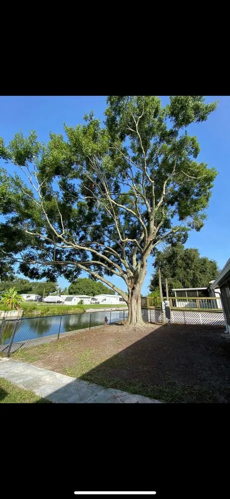 Top-rated landscape installation for year-round maintenance across Okeechobee, FL - Down South Maintenance