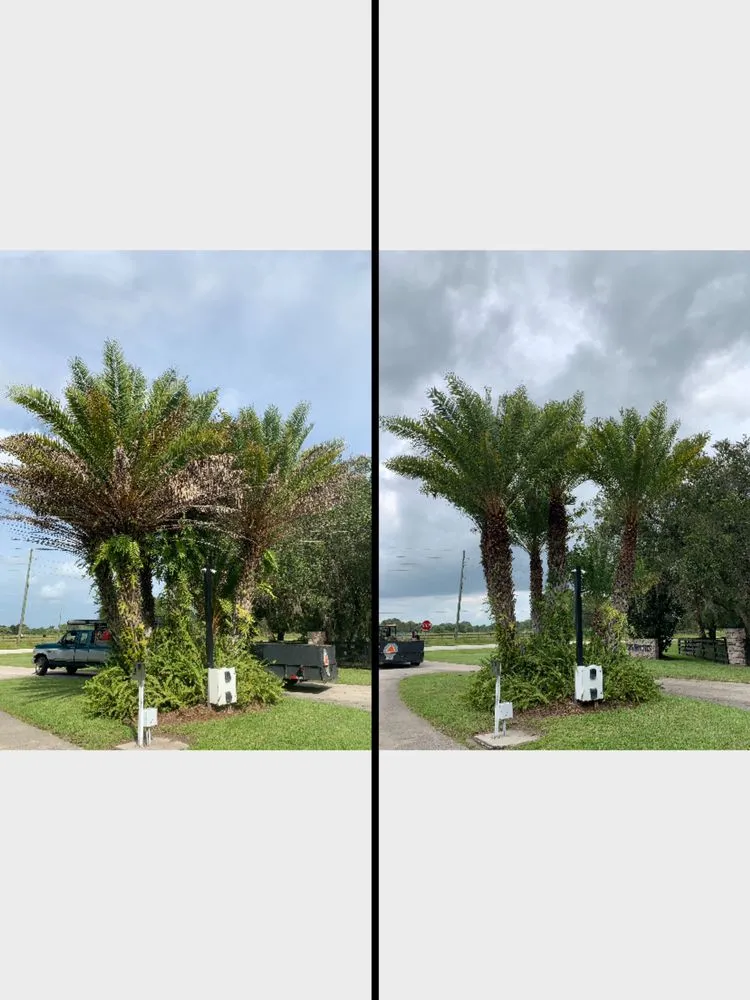 Top-rated landscaping services in Okeechobee, FL by Down South Maintenance