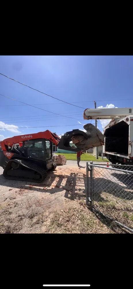 Expert yard cleanup service for homes across Okeechobee, FL - Down South Maintenance