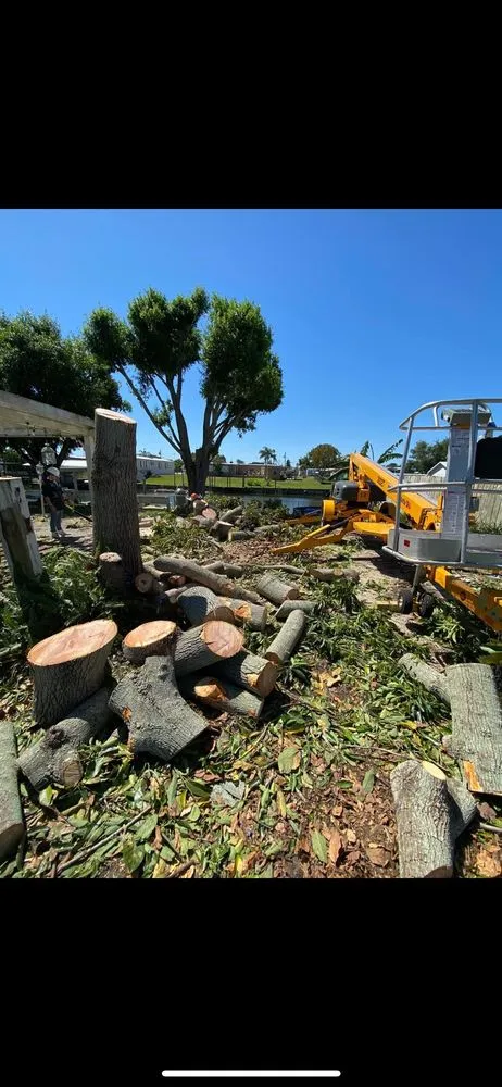 Top-rated landscape installation with custom design in Okeechobee, FL by Down South Maintenance