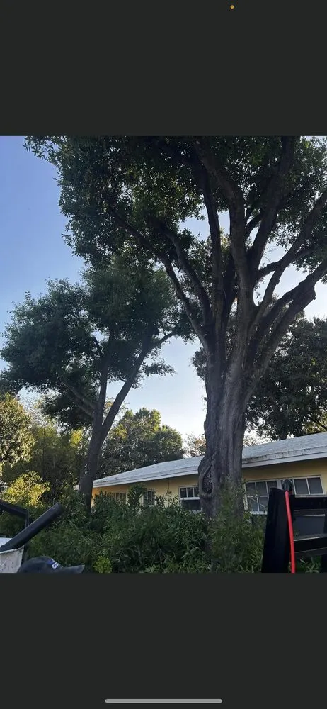 Affordable landscape installation for year-round maintenance in Jupiter, FL by Down South Property Maintenance & Landscape Design