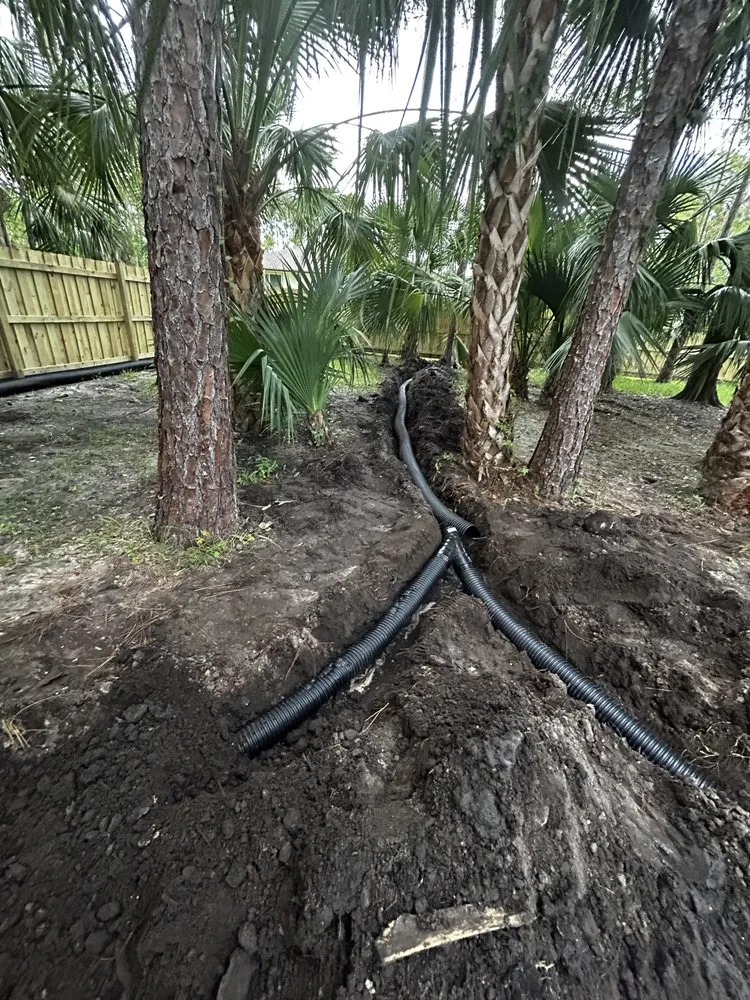 Custom yard cleanup service in Jupiter, FL - Down South Property Maintenance & Landscape Design