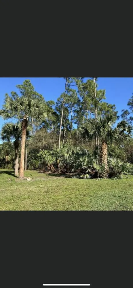 Trusted yard cleanup service for residential properties in Jupiter, FL by Down South Property Maintenance & Landscape Design