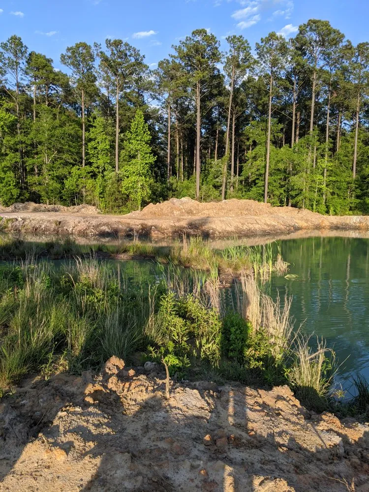 Reliable yard cleanup service in Ravenel, SC - Down South Solutions