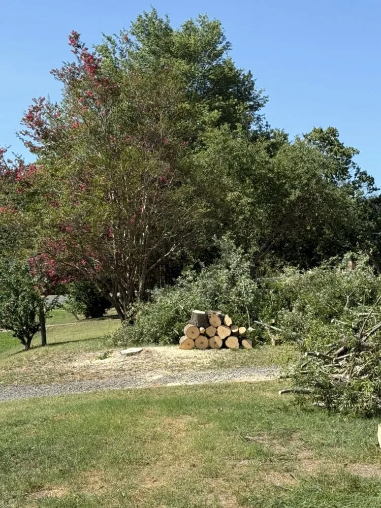 Affordable landscaping services experts serving Maiden, NC - Down South Tree Care & Landscaping