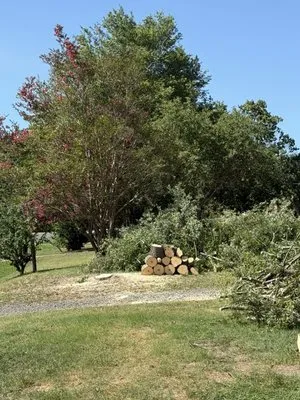 Down South Tree Care & Landscaping