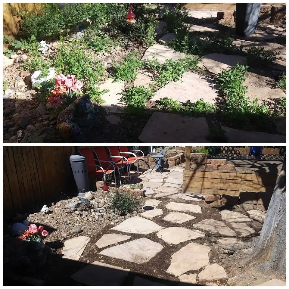 Trusted yard cleanup service in Tucson, AZ by Down the Road Yardscapes