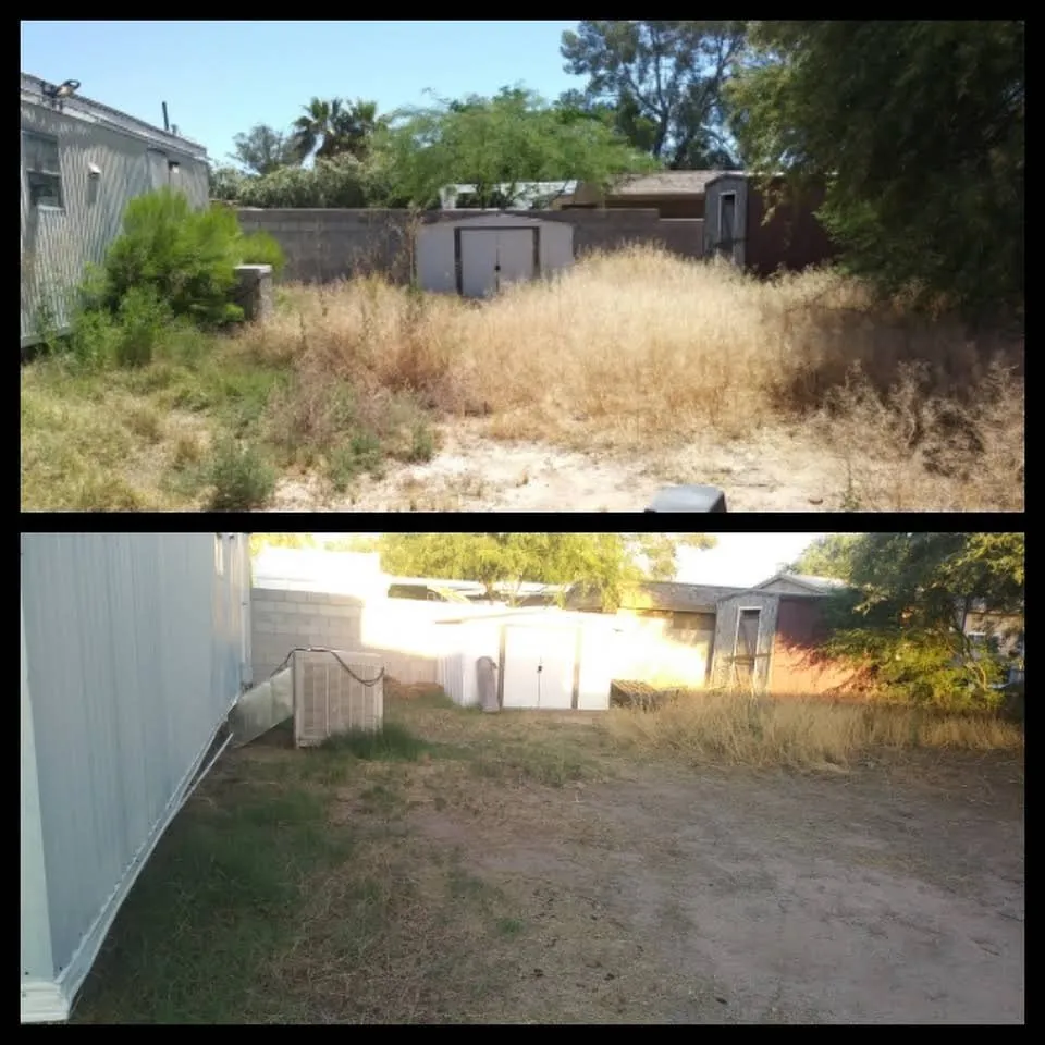 Top-rated yard cleanup service with custom design in Tucson, AZ by Down the Road Yardscapes