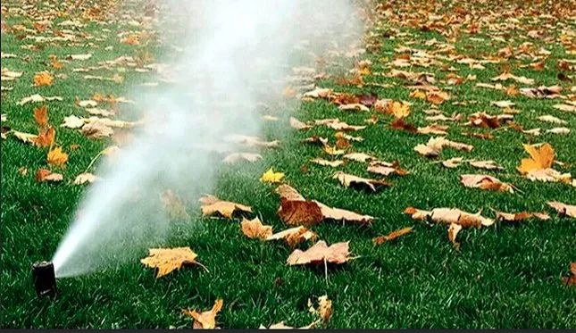 Reliable landscape design experts serving Thornton, CO - Down to Earth Aeration