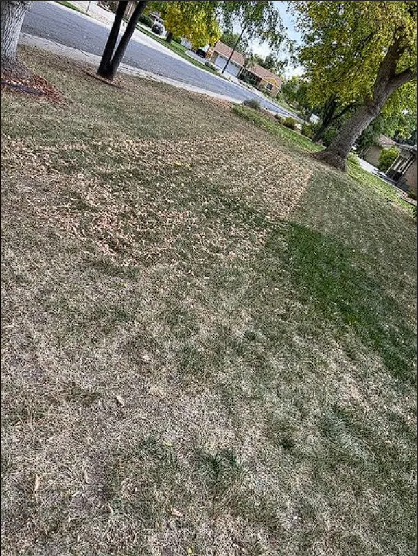 Reliable residential landscaping in Thornton, CO by Down to Earth Aeration