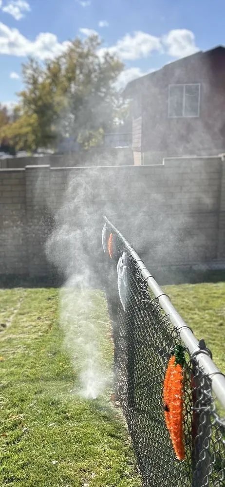 Local lawn mowing service for year-round maintenance across Thornton, CO - Down to Earth Aeration