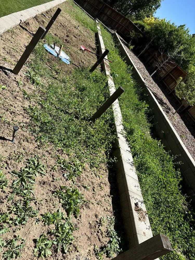 Reliable yard cleanup service in Thornton, CO - Down to Earth Aeration