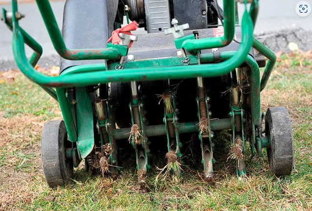 Local garden landscaping for year-round maintenance in Thornton, CO by Down to Earth Aeration