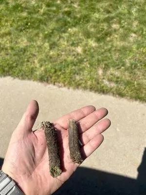 Down to Earth Aeration