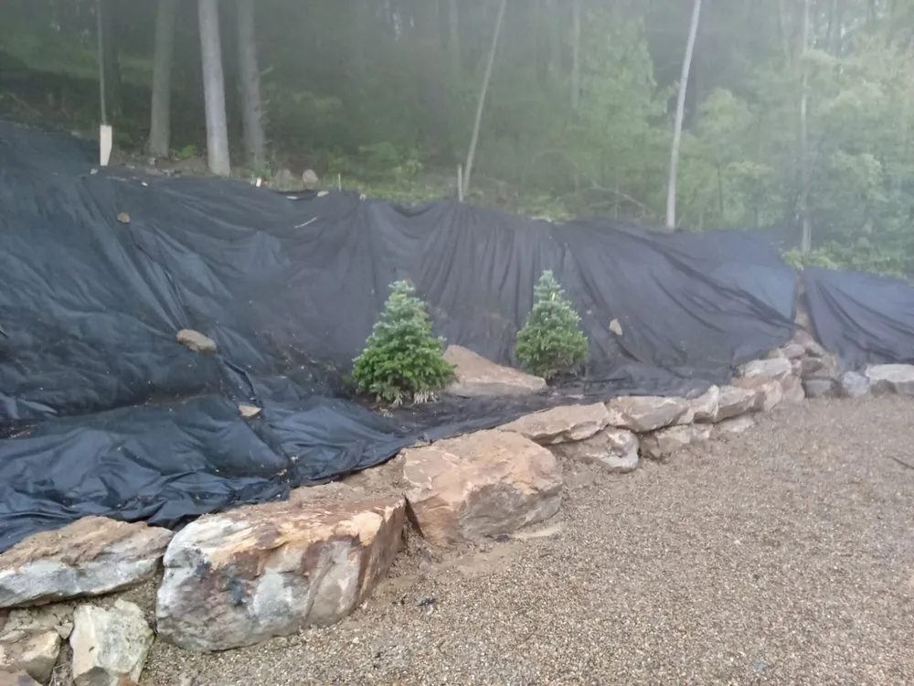 Top-rated garden landscaping for beautiful yards across Central City, PA - Down to Earth at the Lake