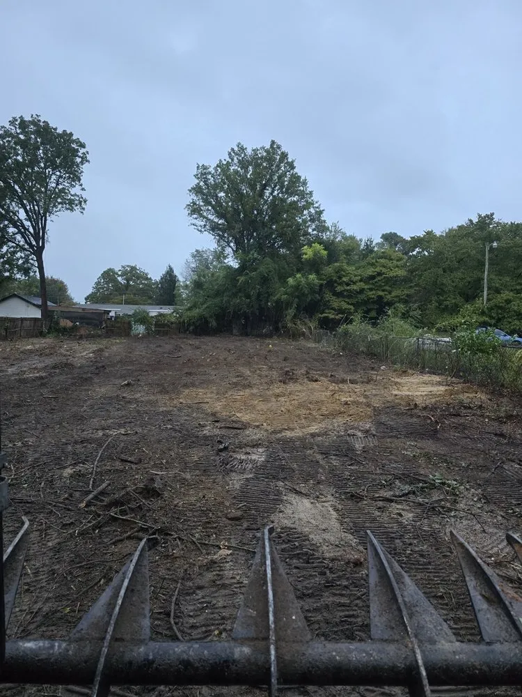 Top-rated yard cleanup service for outdoor upgrades across Fayetteville, NC - Down to Earth Clearing & Mulching