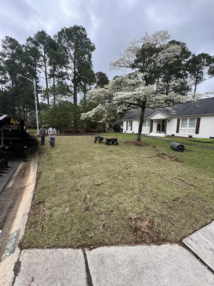 Affordable landscape installation experts serving Fayetteville, NC - Down to Earth Clearing & Mulching