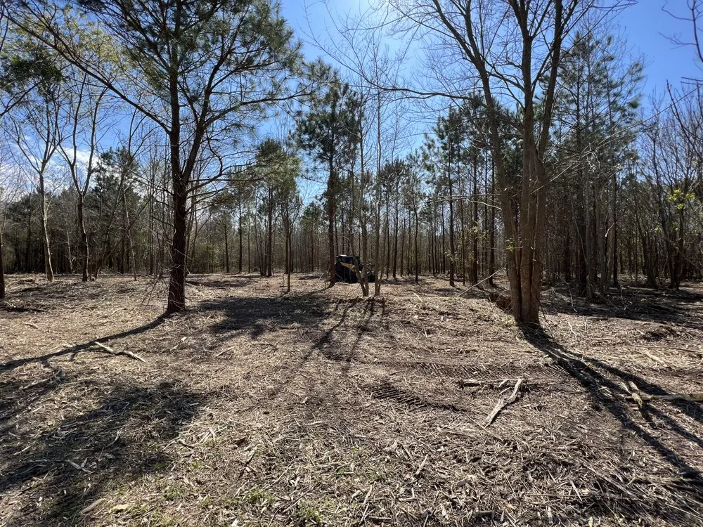 Expert yard maintenance in Fayetteville, NC by Down to Earth Clearing & Mulching