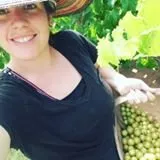 Reliable yard maintenance in Lancaster, SC - Down To Earth Co-Op & Lifestyle Center