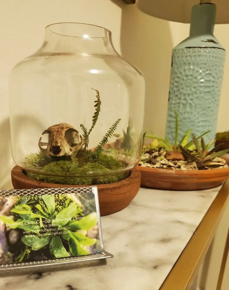 Local lawn mowing service for outdoor upgrades in Lancaster, SC by Down To Earth Co-Op & Lifestyle Center