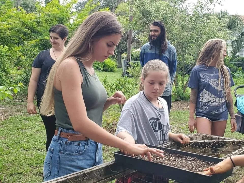 Top-rated landscape installation in Lancaster, SC by Down To Earth Co-Op & Lifestyle Center
