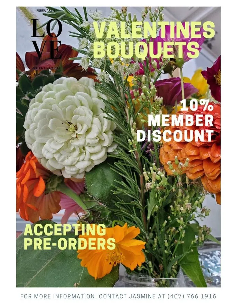 Professional residential landscaping for year-round maintenance across Lancaster, SC - Down To Earth Co-Op & Lifestyle Center