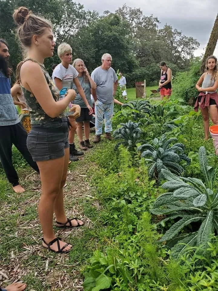 Custom landscaping services in Lancaster, SC by Down To Earth Co-Op & Lifestyle Center