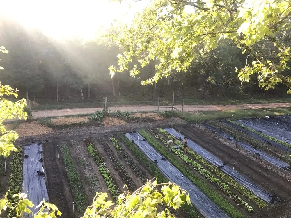 Top-rated lawn mowing service for homes in Lancaster, SC by Down To Earth Co-Op & Lifestyle Center