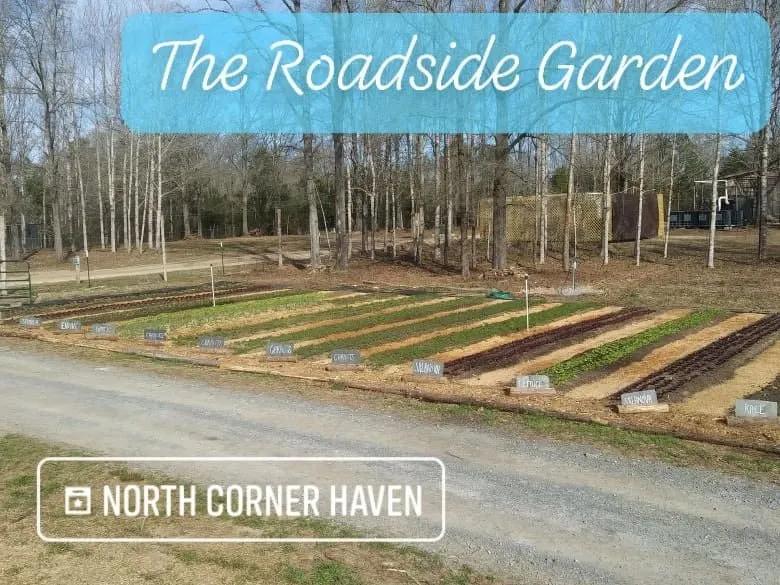 Custom lawn mowing service in Lancaster, SC by Down To Earth Co-Op & Lifestyle Center