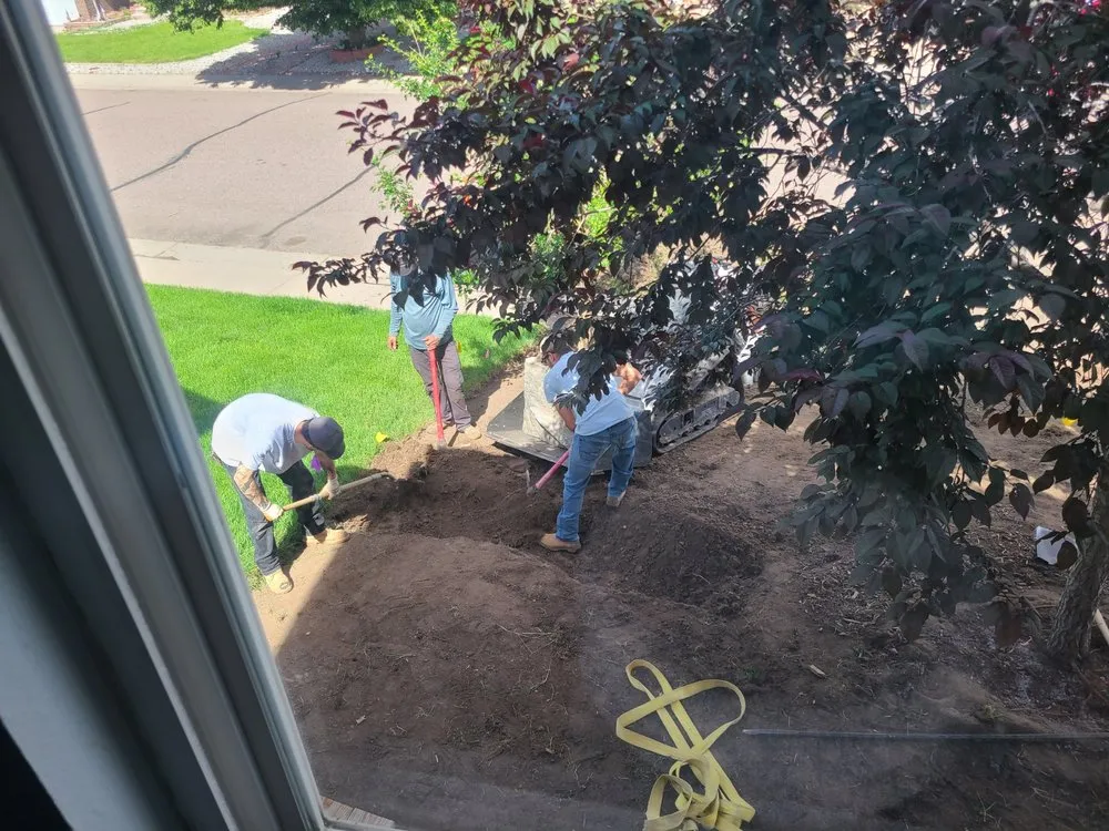 Affordable landscaping services for residential properties across Wheat Ridge, CO - Down To Earth Designs