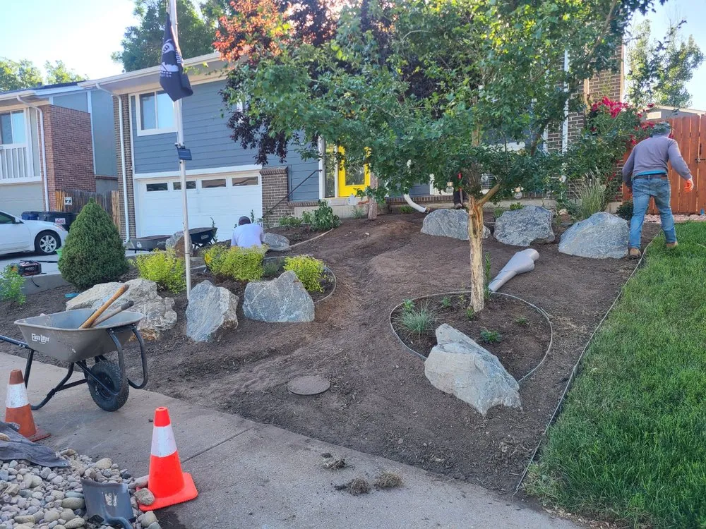 Top-rated lawn care service in Wheat Ridge, CO by Down To Earth Designs