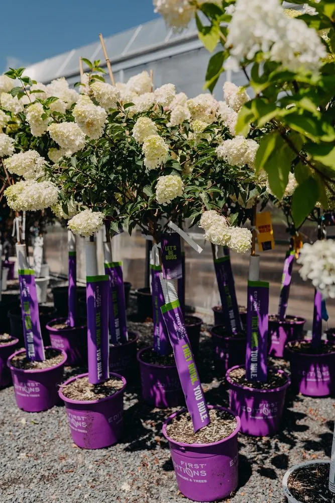 Trusted garden landscaping experts serving Eau Claire, WI - Down To Earth