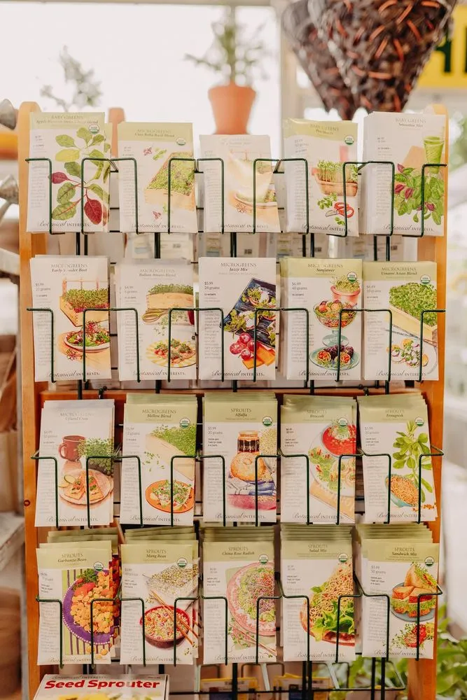 Professional landscaping services for homes in Eau Claire, WI by Down To Earth