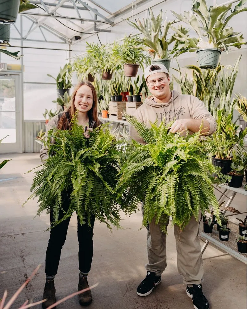 Affordable landscape installation experts serving Eau Claire, WI - Down To Earth