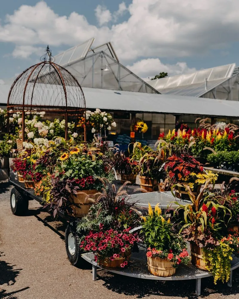 Expert yard cleanup service for residential properties in Eau Claire, WI by Down To Earth