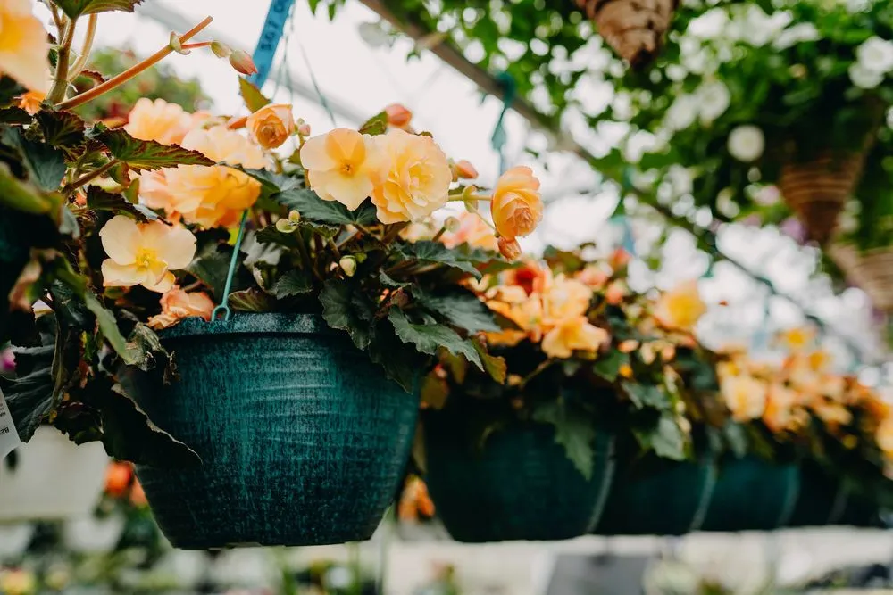 Affordable landscaping services experts serving Eau Claire, WI - Down To Earth