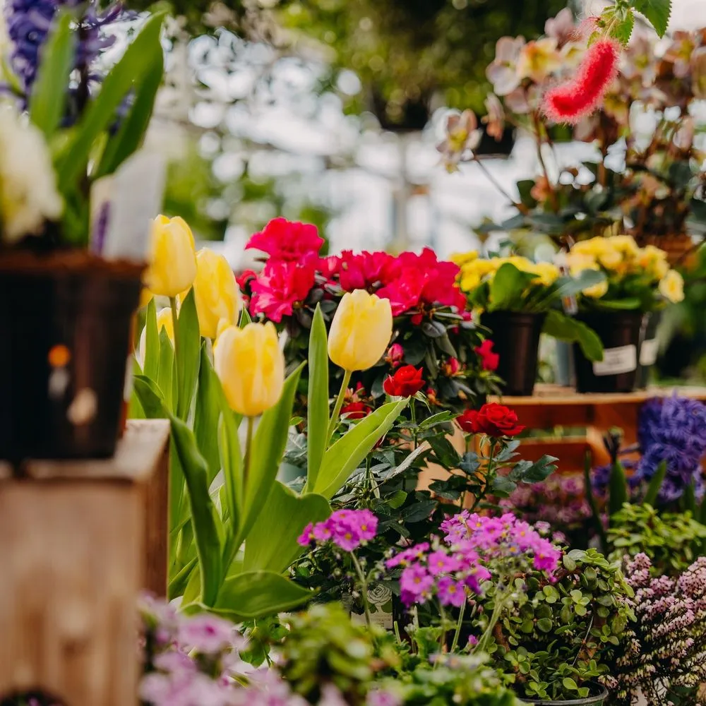 Top-rated landscape design with custom design across Eau Claire, WI - Down To Earth