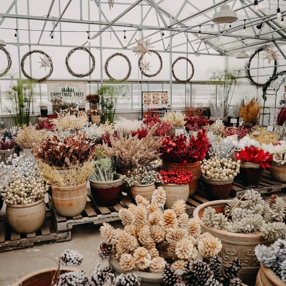 Professional yard maintenance in Eau Claire, WI - Down To Earth