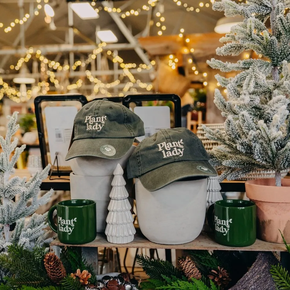 Affordable residential landscaping for outdoor upgrades across Eau Claire, WI - Down To Earth