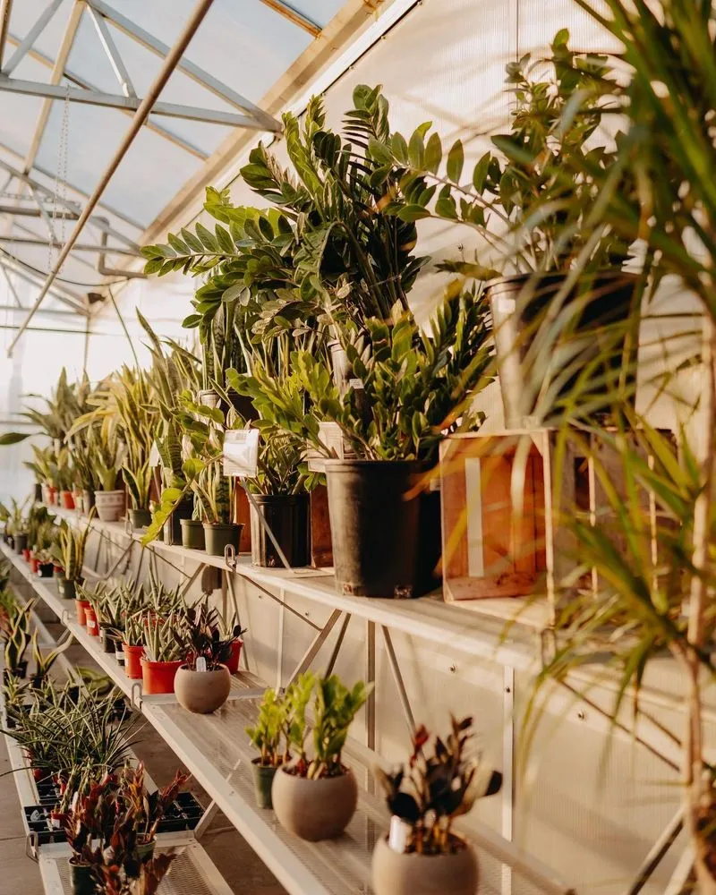 Trusted landscaping services in Eau Claire, WI - Down To Earth