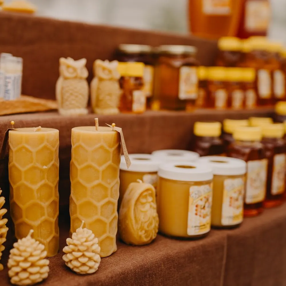 Professional residential landscaping experts serving Eau Claire, WI - Down To Earth