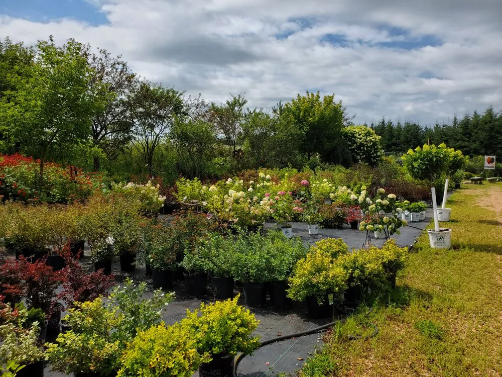 Affordable landscape design for beautiful yards in Wausau, WI by Down to Earth Greenhouse
