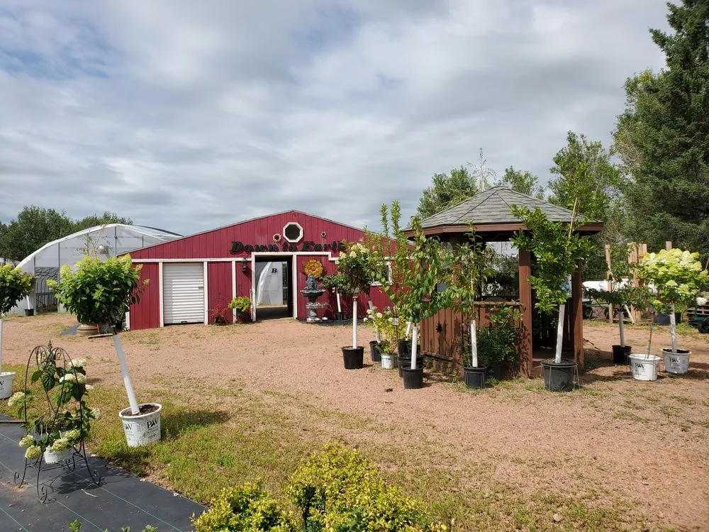 Trusted outdoor landscaping for outdoor upgrades in Wausau, WI by Down to Earth Greenhouse