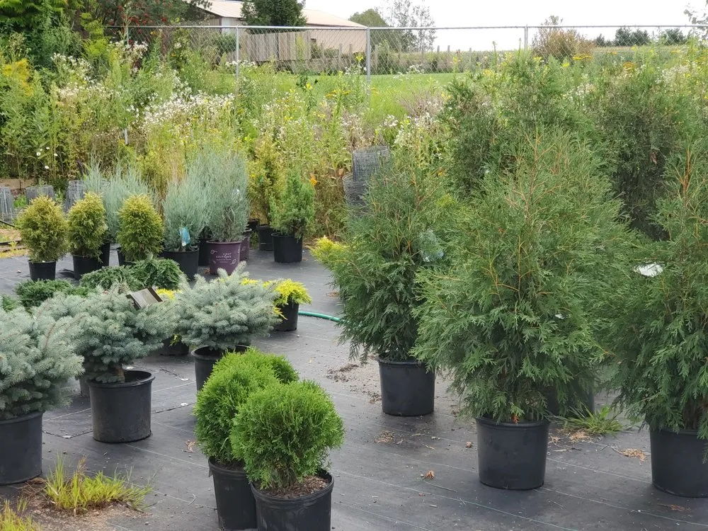 Local residential landscaping in Wausau, WI by Down to Earth Greenhouse