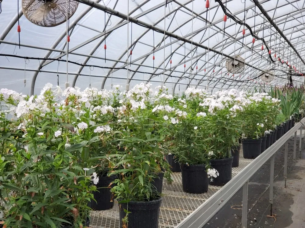 Professional residential landscaping for outdoor upgrades across Wausau, WI - Down to Earth Greenhouse