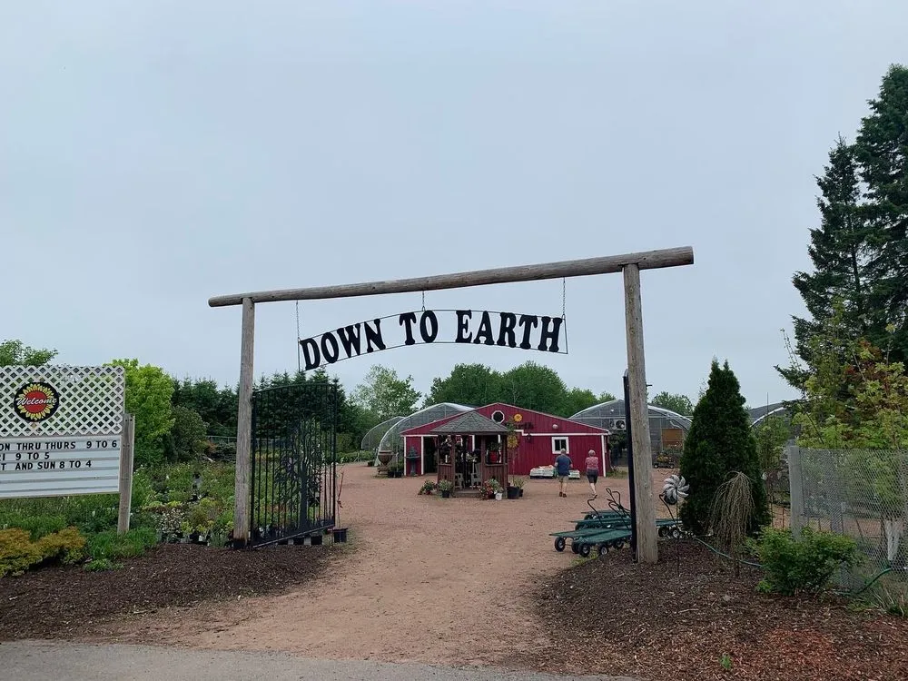 Local landscaping services in Wausau, WI by Down to Earth Greenhouse